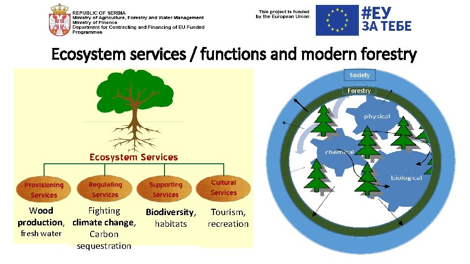 Ecosystem services / functions and modern forestry Society Forestry Fighting Wood Biodiversity, production, climate