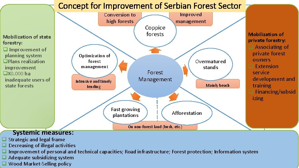 Concept for Improvement of Serbian Forest Sector Conversion to high forests Mobilization of state