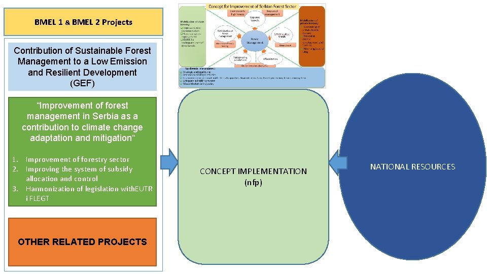 BMEL 1 & BMEL 2 Projects Contribution of Sustainable Forest Management to a Low