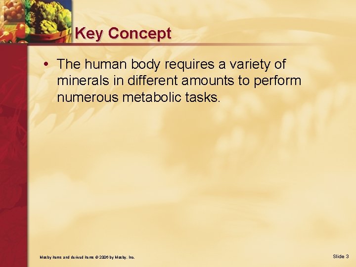 Key Concept • The human body requires a variety of minerals in different amounts