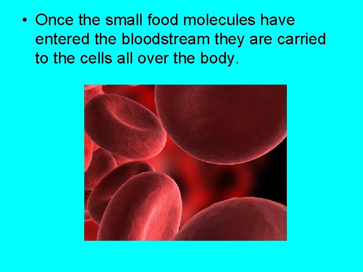  • Once the small food molecules have entered the bloodstream they are carried