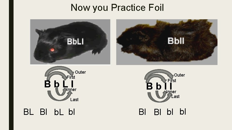 Now you Practice Foil Outer First B b LInner l Last BL Bl b.