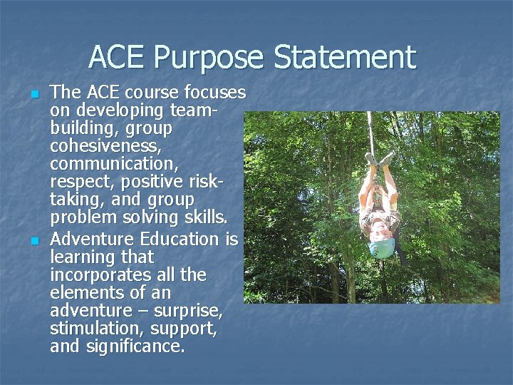 ACE Purpose Statement n n The ACE course focuses on developing teambuilding, group cohesiveness,