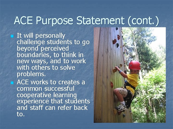 ACE Purpose Statement (cont. ) n n It will personally challenge students to go
