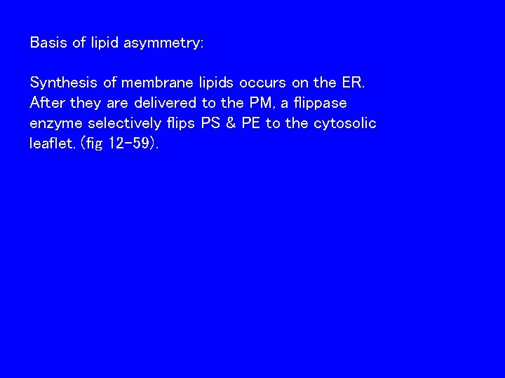 Basis of lipid asymmetry: Synthesis of membrane lipids occurs on the ER. After they
