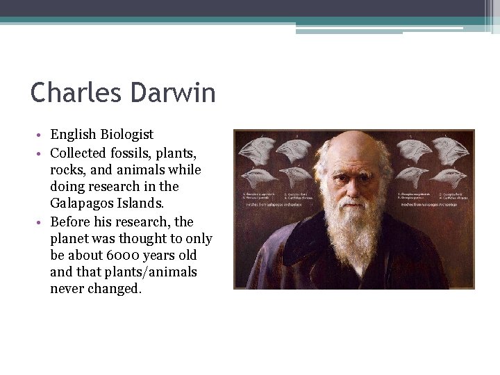 Charles Darwin • English Biologist • Collected fossils, plants, rocks, and animals while doing