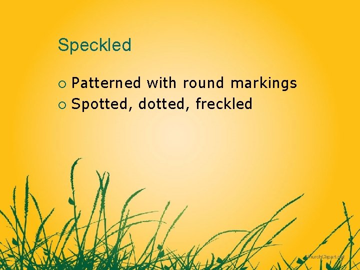 Speckled Patterned with round markings ¡ Spotted, dotted, freckled ¡ 