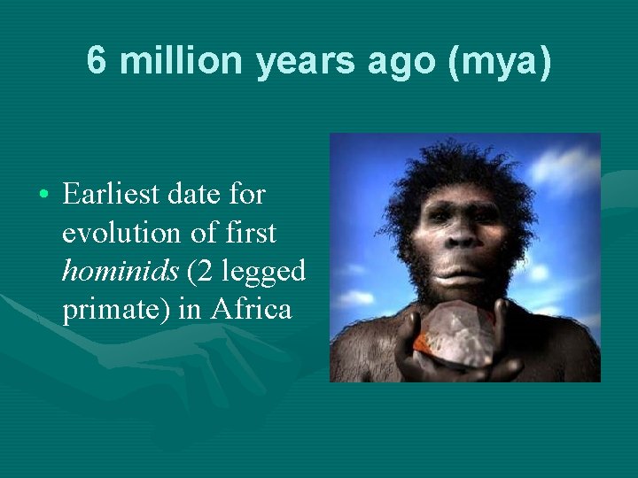 6 million years ago (mya) • Earliest date for evolution of first hominids (2