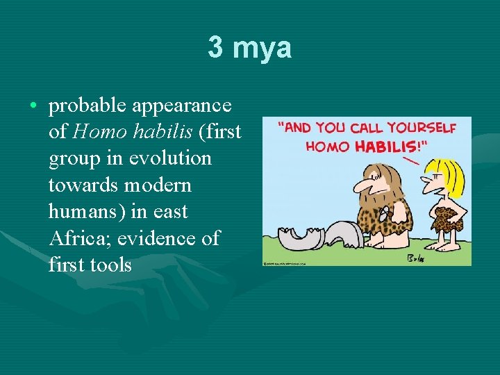 3 mya • probable appearance of Homo habilis (first group in evolution towards modern