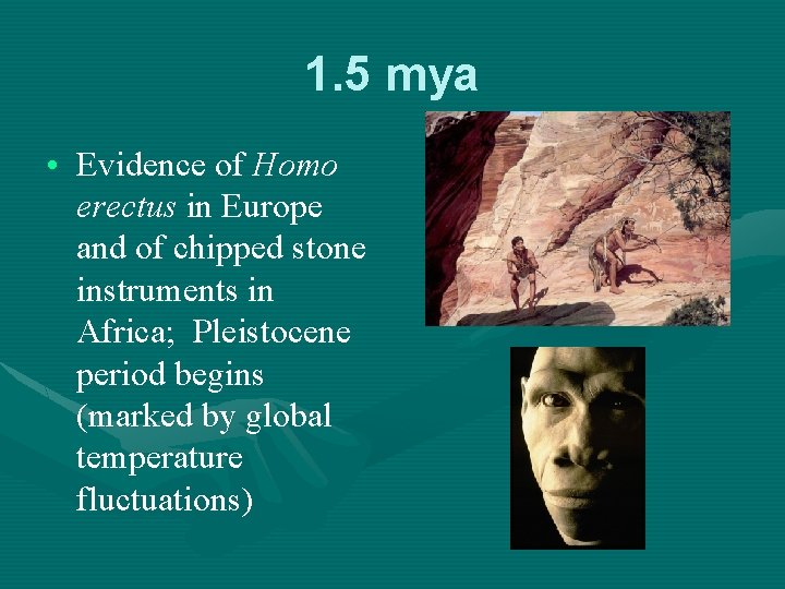 1. 5 mya • Evidence of Homo erectus in Europe and of chipped stone