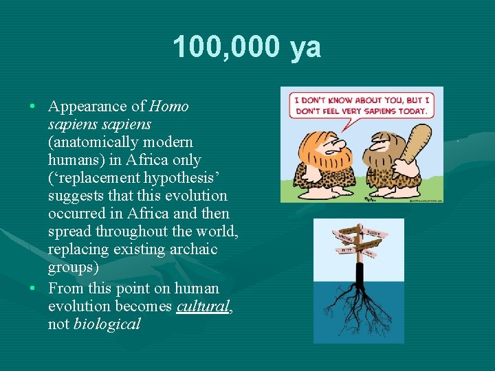 100, 000 ya • Appearance of Homo sapiens (anatomically modern humans) in Africa only