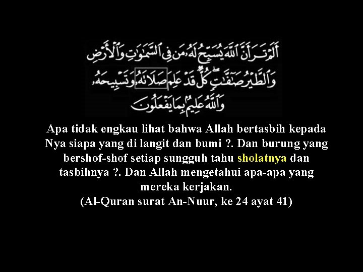 Apa tidak engkau lihat bahwa Allah bertasbih kepada Nya siapa yang di langit dan