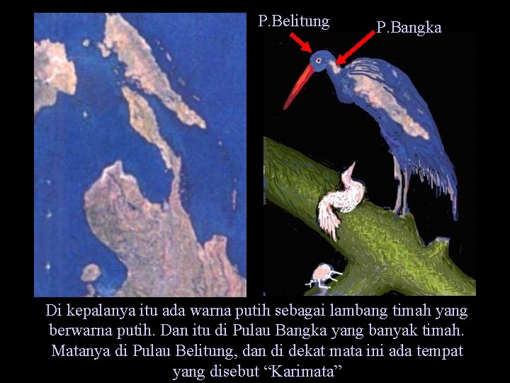 P. Belitung P. Bangka Di kepalanya itu ada warna putih sebagai lambang timah yang