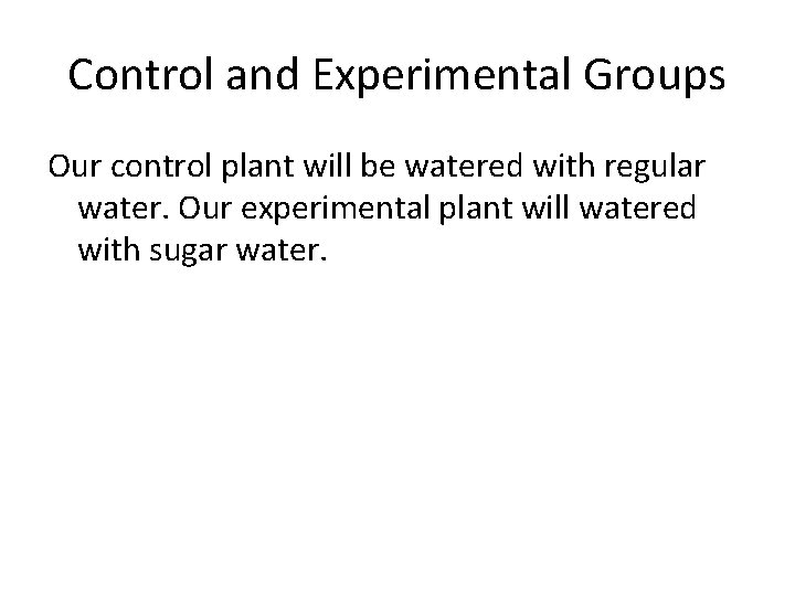 Control and Experimental Groups Our control plant will be watered with regular water. Our