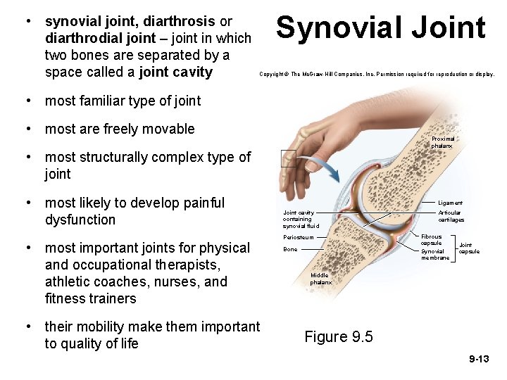  • synovial joint, diarthrosis or diarthrodial joint – joint in which two bones