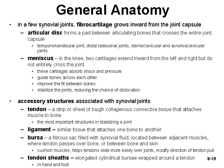 General Anatomy • in a few synovial joints, fibrocartilage grows inward from the joint