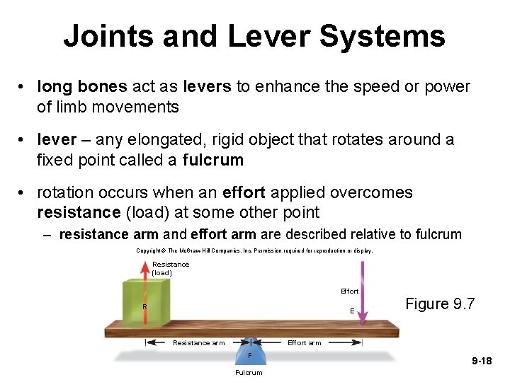 Joints and Lever Systems • long bones act as levers to enhance the speed