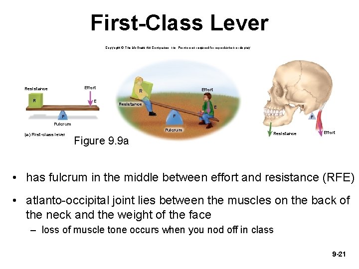 First-Class Lever Copyright © The Mc. Graw-Hill Companies, Inc. Permission required for reproduction or