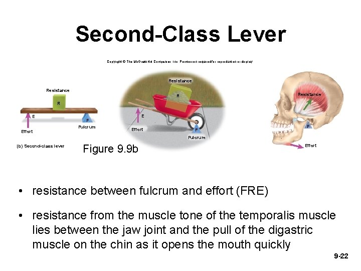 Second-Class Lever Copyright © The Mc. Graw-Hill Companies, Inc. Permission required for reproduction or