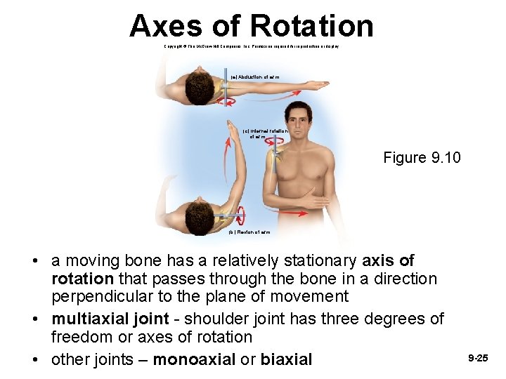 Axes of Rotation Copyright © The Mc. Graw-Hill Companies, Inc. Permission required for reproduction