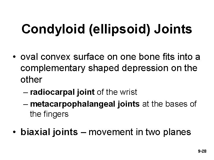 Condyloid (ellipsoid) Joints • oval convex surface on one bone fits into a complementary