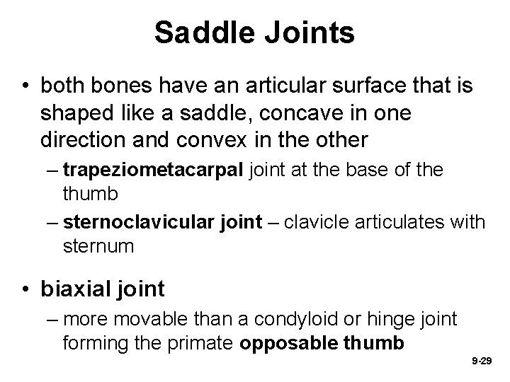 Saddle Joints • both bones have an articular surface that is shaped like a