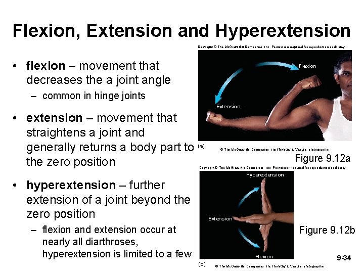 Flexion, Extension and Hyperextension Copyright © The Mc. Graw-Hill Companies, Inc. Permission required for