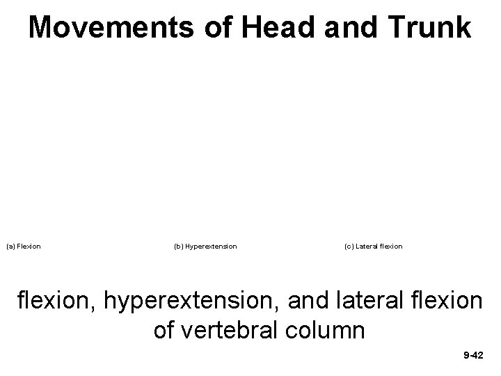 Movements of Head and Trunk (a) Flexion (b) Hyperextension (c) Lateral flexion, hyperextension, and