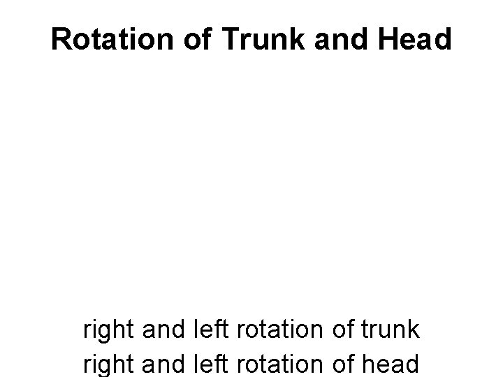 Rotation of Trunk and Head right and left rotation of trunk right and left