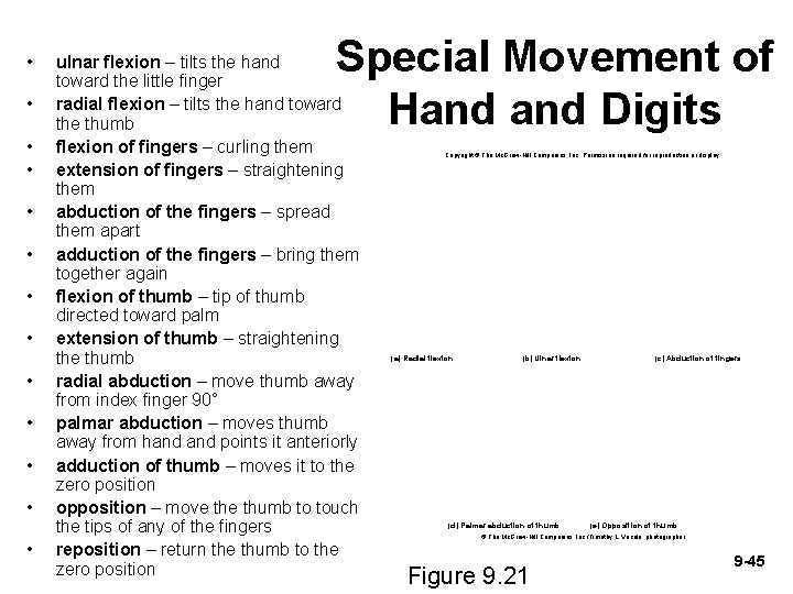  • • • • Special Movement of Hand Digits ulnar flexion – tilts