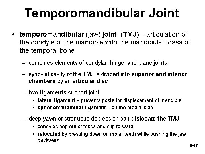 Temporomandibular Joint • temporomandibular (jaw) joint (TMJ) – articulation of the condyle of the