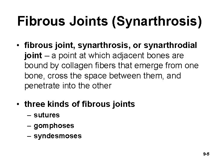 Fibrous Joints (Synarthrosis) • fibrous joint, synarthrosis, or synarthrodial joint – a point at
