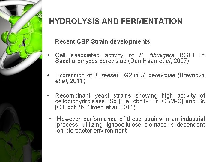 HYDROLYSIS AND FERMENTATION Recent CBP Strain developments • Cell associated activity of S. fibuligera