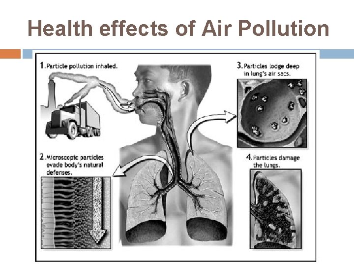 Health effects of Air Pollution 