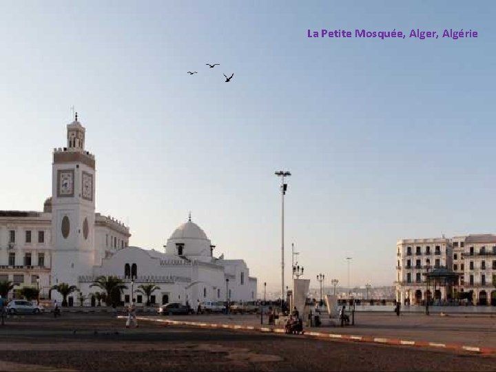 La Petite Mosquée, Alger, Algérie 