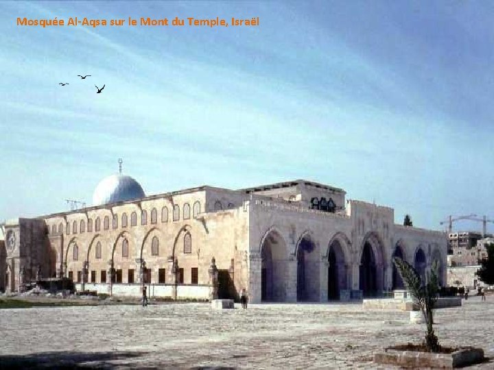 Mosquée Al-Aqsa sur le Mont du Temple, Israël 