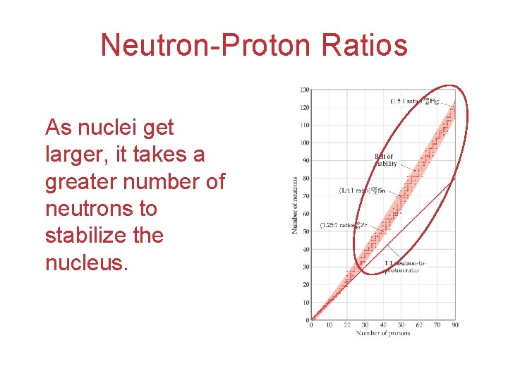 Neutron-Proton Ratios As nuclei get larger, it takes a greater number of neutrons to