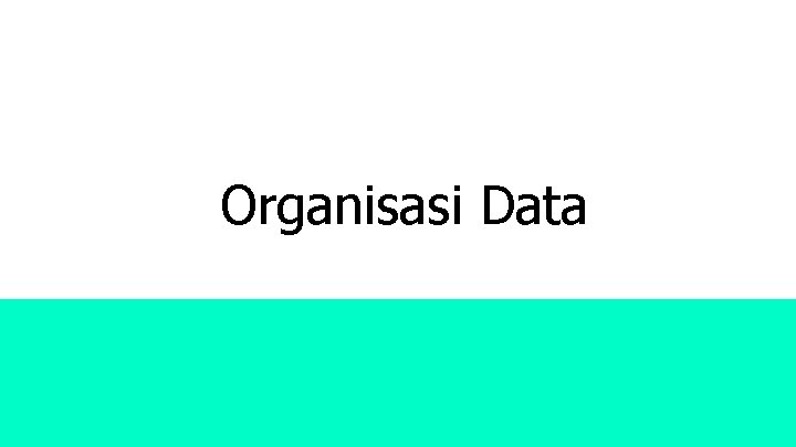 Organisasi Data 