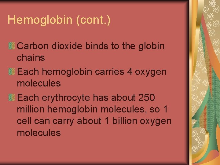 Hemoglobin (cont. ) Carbon dioxide binds to the globin chains Each hemoglobin carries 4