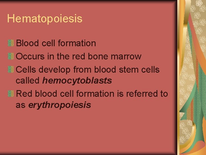 Hematopoiesis Blood cell formation Occurs in the red bone marrow Cells develop from blood