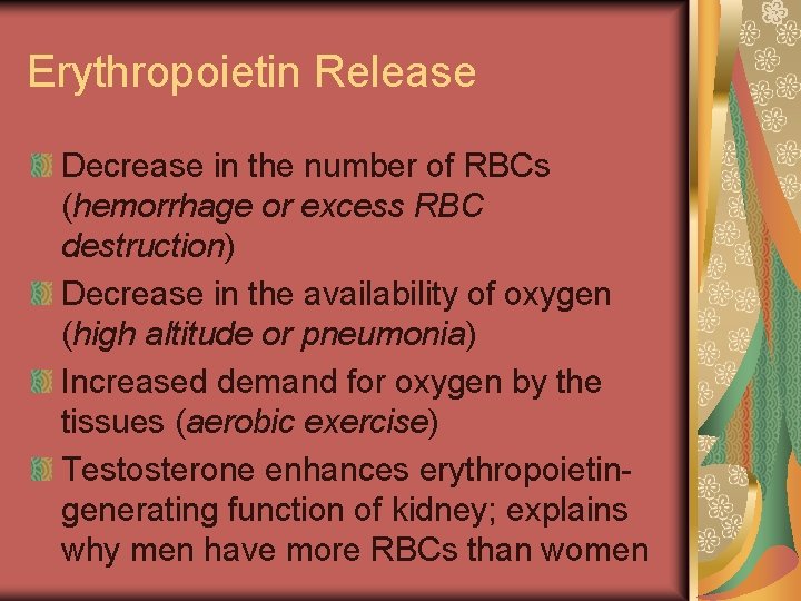 Erythropoietin Release Decrease in the number of RBCs (hemorrhage or excess RBC destruction) Decrease