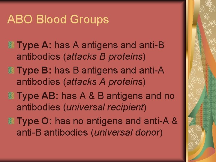 ABO Blood Groups Type A: has A antigens and anti-B antibodies (attacks B proteins)