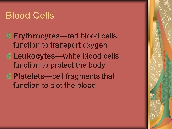Blood Cells Erythrocytes—red blood cells; function to transport oxygen Leukocytes—white blood cells; function to