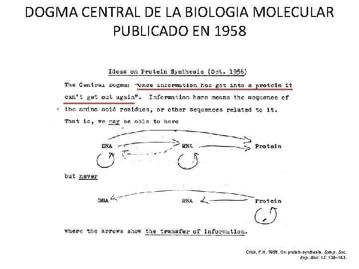 DOGMA CENTRAL DE LA BIOLOGIA MOLECULAR PUBLICADO EN 1958 Crick, F. H. 1958. On