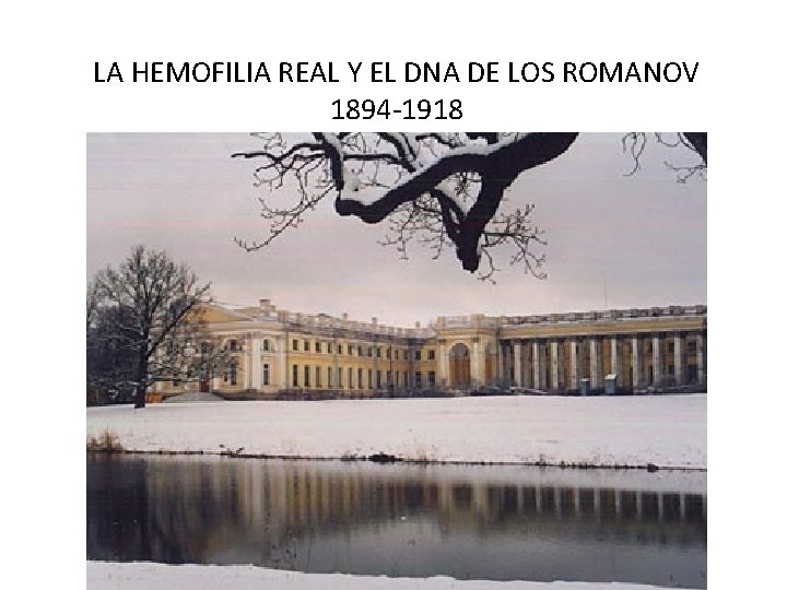 LA HEMOFILIA REAL Y EL DNA DE LOS ROMANOV 1894 -1918 