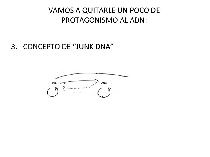 VAMOS A QUITARLE UN POCO DE PROTAGONISMO AL ADN: 3. CONCEPTO DE “JUNK DNA”