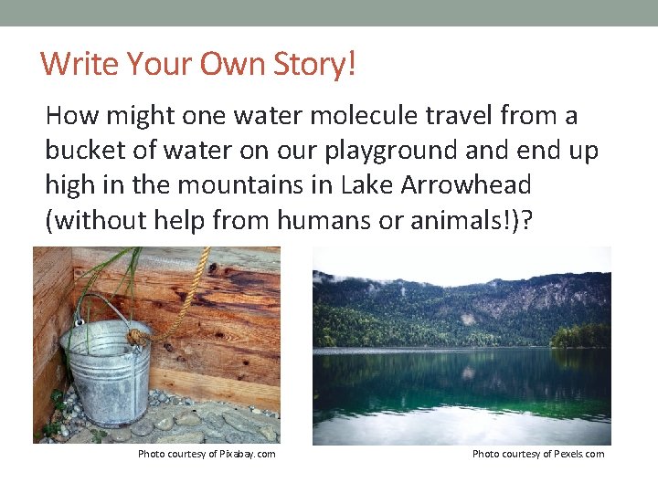 Write Your Own Story! How might one water molecule travel from a bucket of