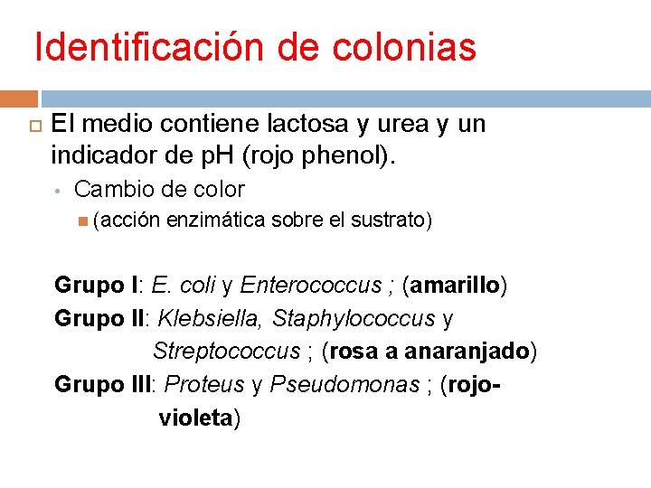 Identificación de colonias El medio contiene lactosa y urea y un indicador de p.