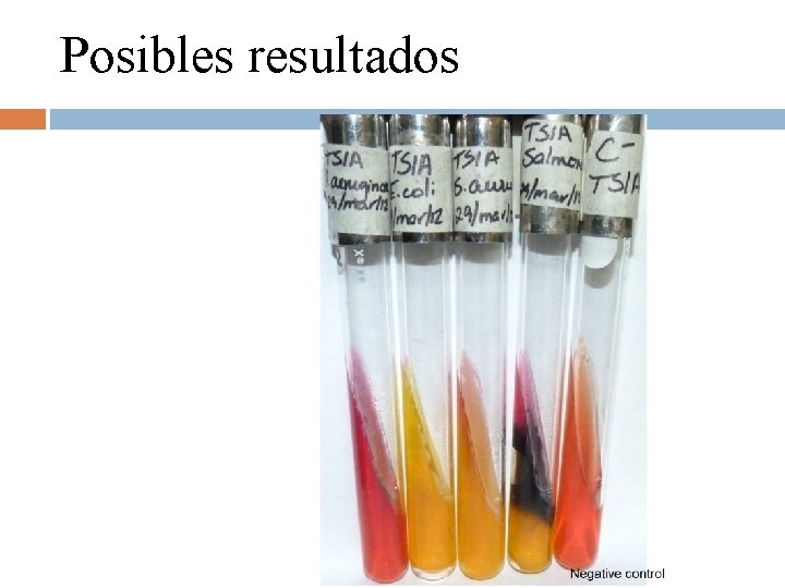 Posibles resultados 