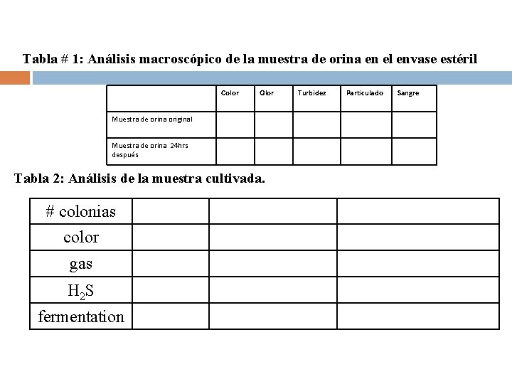 Tabla # 1: Análisis macroscópico de la muestra de orina en el envase estéril